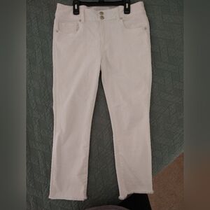 American Eagle Artist Crop Jeans